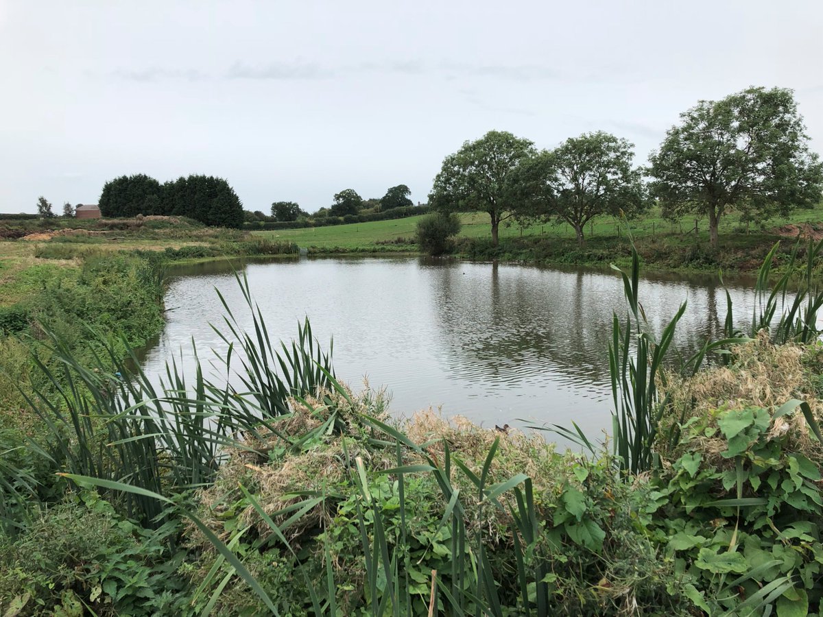 Cheshire YFC tweet media