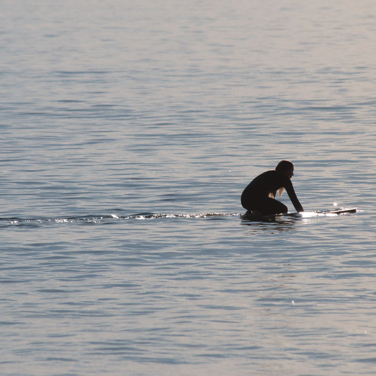 surfynomads's tweet photo. The best feeling in the world... paddling out on glassy and sunny day 🙌 #surf #travel #onlygoodvibes #surfer #surftrip #surfboard #surfing #stoke #aloha #waves #endlesssummer #shaka #singlefin #gosurf #surfinglife #sharethestoke #surfculture #sharewaves #waves #sea https://t.co/h9Lz27Hr52