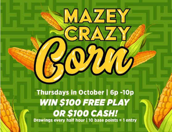 Camel Rock Casino tweet media