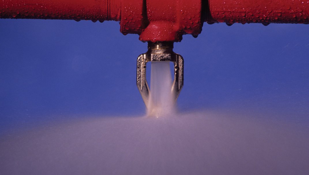 Business Sprinkler Alliance tweet media