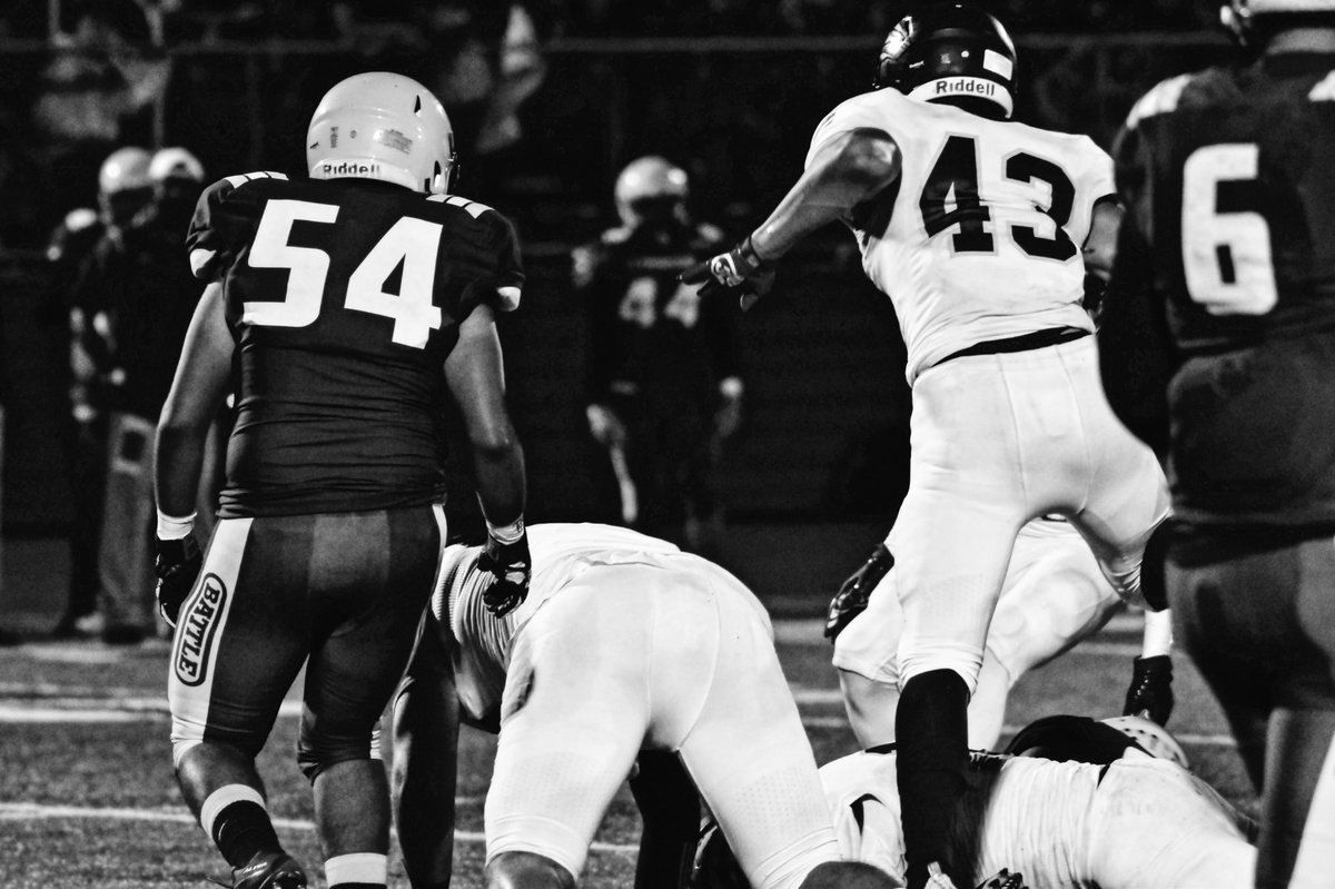 🦍🦍….
