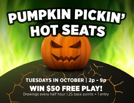 Camel Rock Casino tweet media