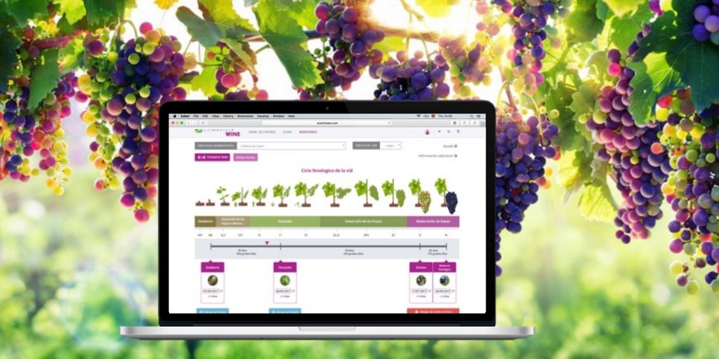 Ya escuchaste hablar de la Agricultura y Viticultura Conectadas?
Entonces que esperas! Visítanos!
 #IA #IoT #AgTech

🍷🍇 #Wine 👉  bit.ly/2P35OHi 
🌾🚜 #Agro 👉 bit.ly/2P6DJPk