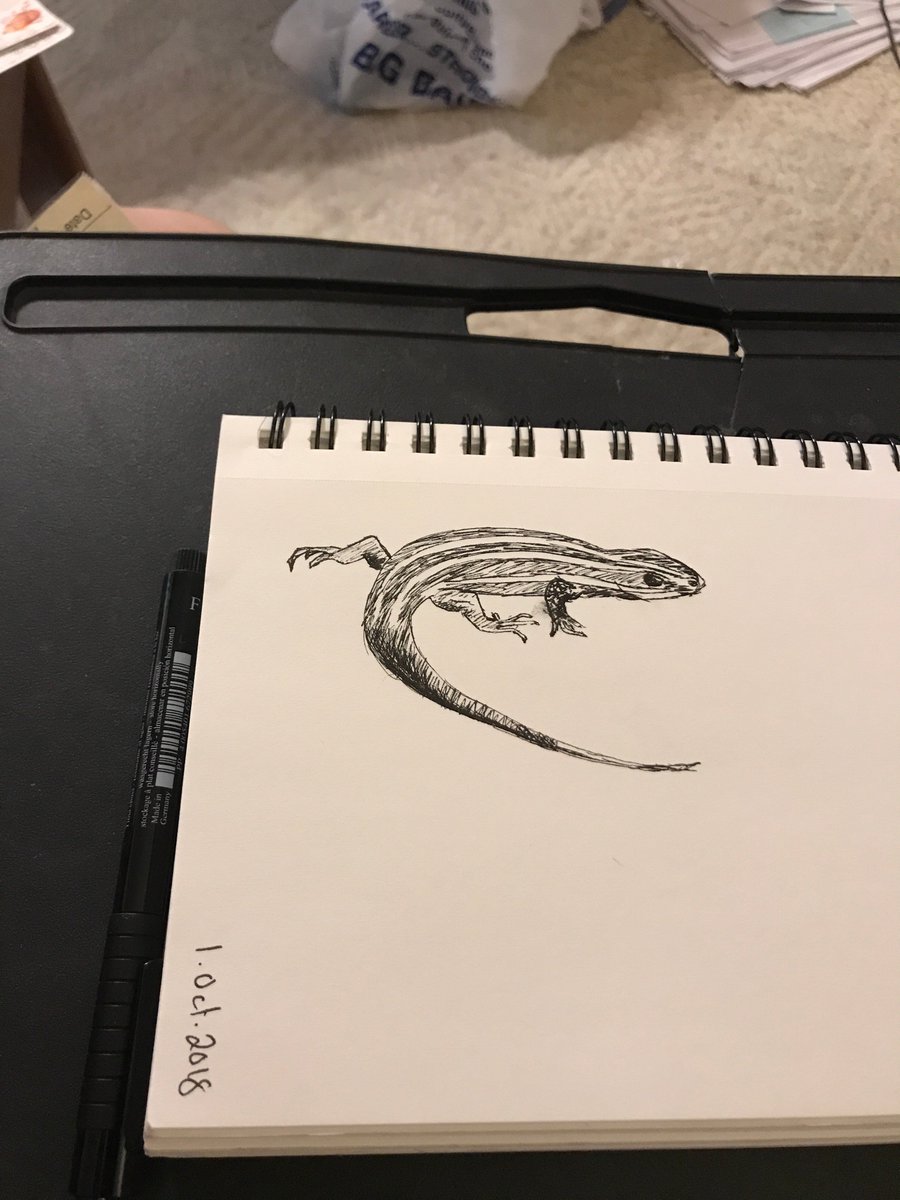 swordtaildanny's tweet photo. #Inktober anyone? Decided to combine my desire to improve my natural illustration abilities (or lack there of) with a drawing challenge with #skinktober! (Yeah they aren't fish, I just love skinks.) Let's see how far I can actually get. #InktoberDay1 #showmeyourskinks https://t.co/dQ6TSYEBdI