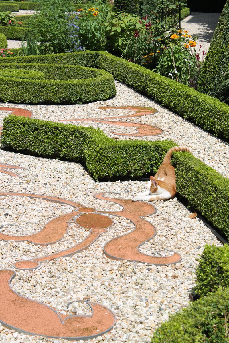 moedentrotseren's tweet photo. The cat follows the pattern. Feline artist. #catartist 
(Photographed in the garden of @MuseumWillet in Amsterdam.) https://t.co/Vlbo7QJxVo