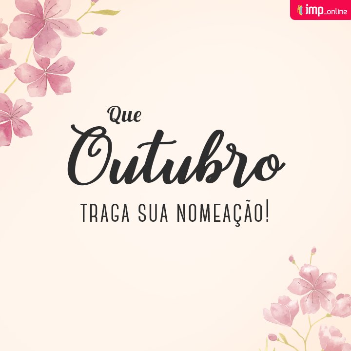 IMP Concursos tweet media