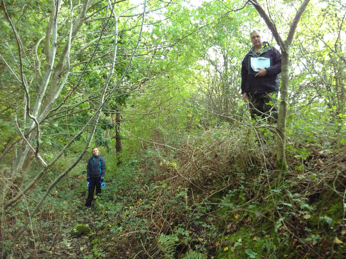 CityofTreesMcr's tweet photo. On #Friday we started a lovely #sunny survey plot at #GinPit #Tyldesley #Leigh
For #TuesdayTreats we scrambled through a huge #bramble patch to finish the varied #woodland #clough before emerging for the easy #GreyAlder #trees
#AllOurTrees @WiganCouncil @WigToday @LeighObserver https://t.co/ZdK6P2PJuH