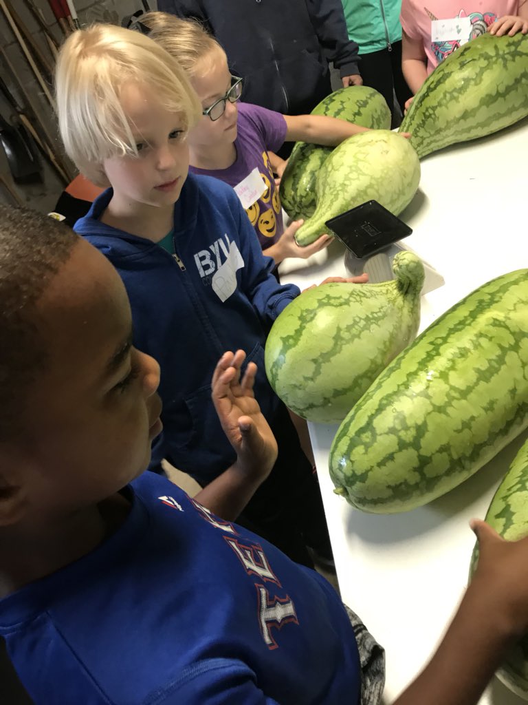 TAGwithWright's tweet photo. Third grade TAG leadership camp! Community garden! #BISDGivesBack #BISDTAG https://t.co/XLGPATfNcA