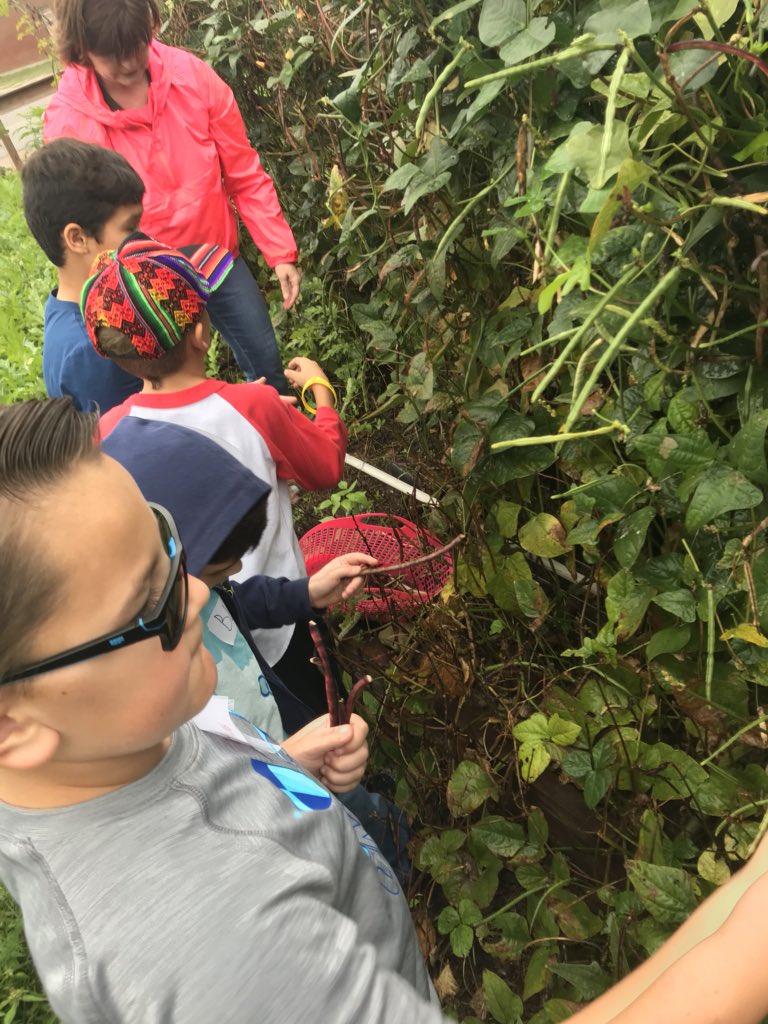 TAGwithWright's tweet photo. Third grade TAG leadership camp! Community garden! #BISDGivesBack #BISDTAG https://t.co/XLGPATfNcA
