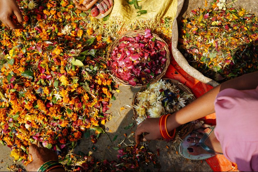 Onu Cambio Climatico Ø¹Ù„Ù‰ ØªÙˆÙŠØªØ± Mas De Ocho Millones De Toneladas De Flores Se Tiran Cada Ano Al Rio Ganges Mujeres Del Proyecto Helpusgreen Recogen Estos Desechos Y Los Convierten En Fertilizante
