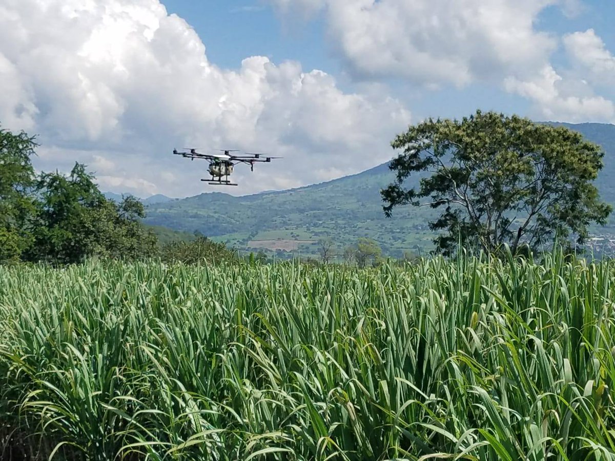 UnimossN's tweet photo. Aplicación de Biol 360 Inoculante y Bio-estimulante nutritivo con tecnología en Drones.

#Unimoss #PorUnMexicoConMejorFuturo #Jalisco #drones https://t.co/utmVltgHdw