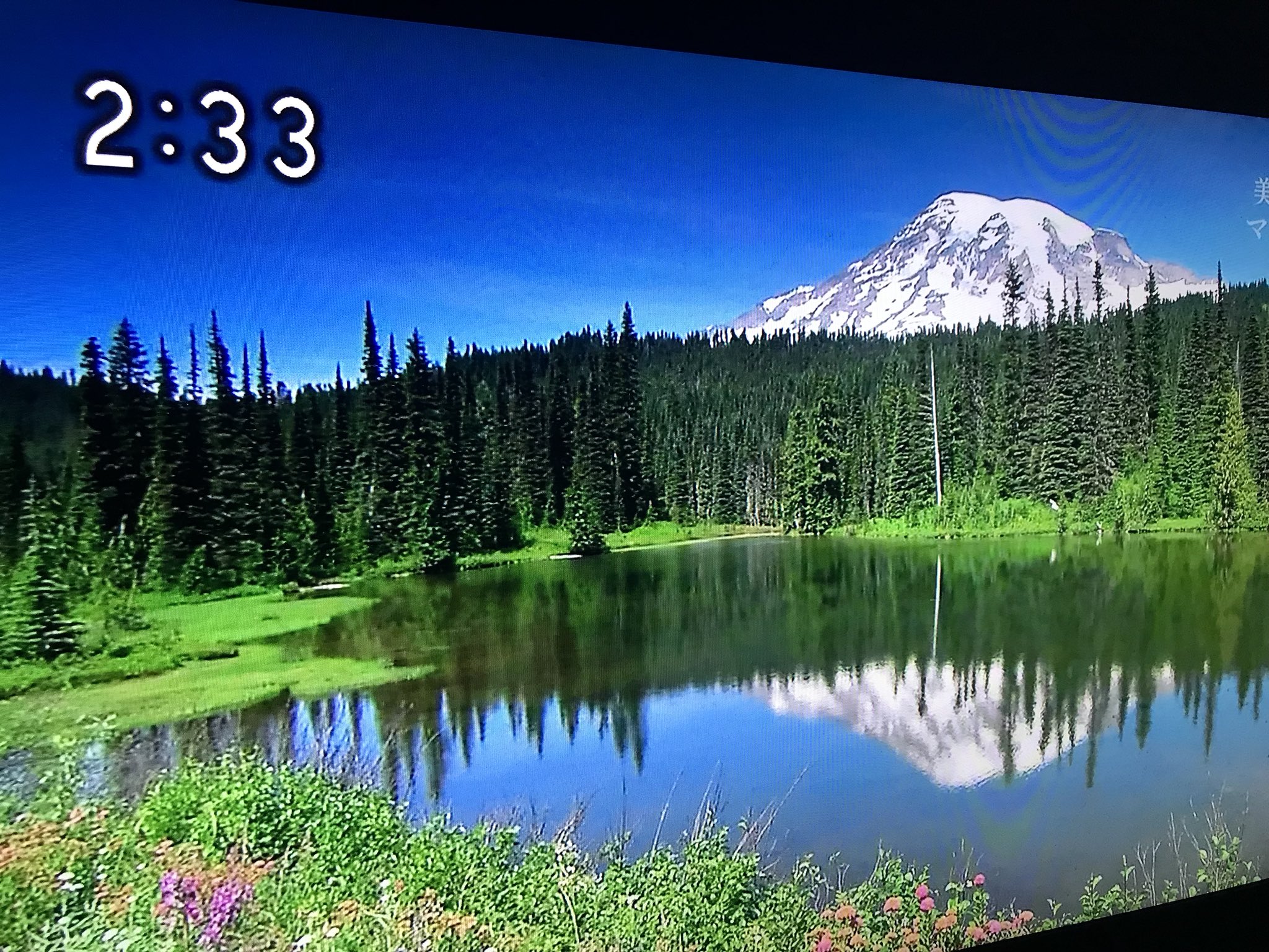 9e A6 Ac 8b E5 9b E7 Ab 8b E5 85 Ac E5 9c 92 Twitter Search Twitter