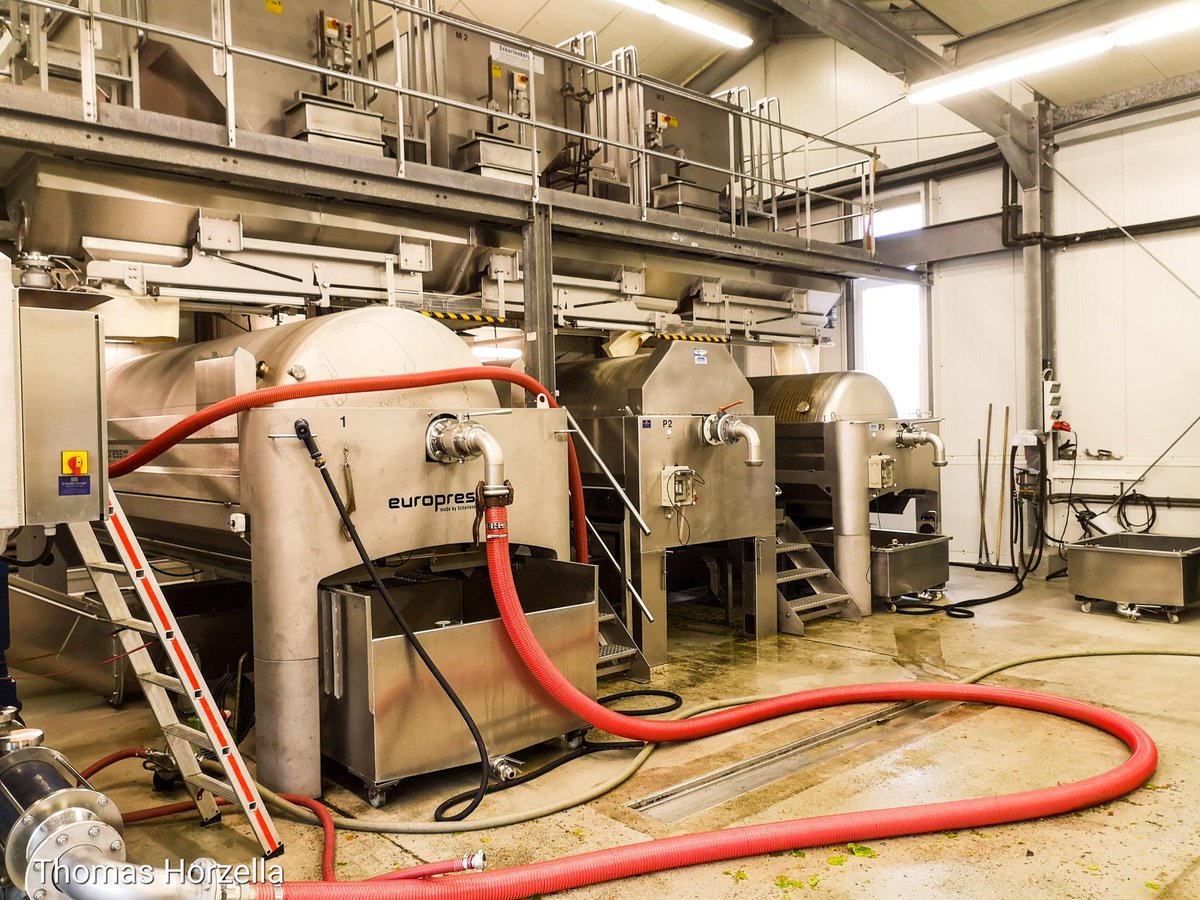 Thomas_Horzella's tweet photo. Impressionen aus dem Kelterhaus.
Zur Zeit läuft die Weinlese u.a. an der Mosel.

#Harvest #Weinlese #2018er #Winemaker #Winepress #Wein #Winery #Photography #Weinland #RheinlandPfalz #Deutschland https://t.co/UGk06ULa82