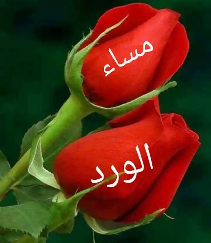 Sr94R's tweet photo. @hh335889 https://t.co/5gOqOPRfxd