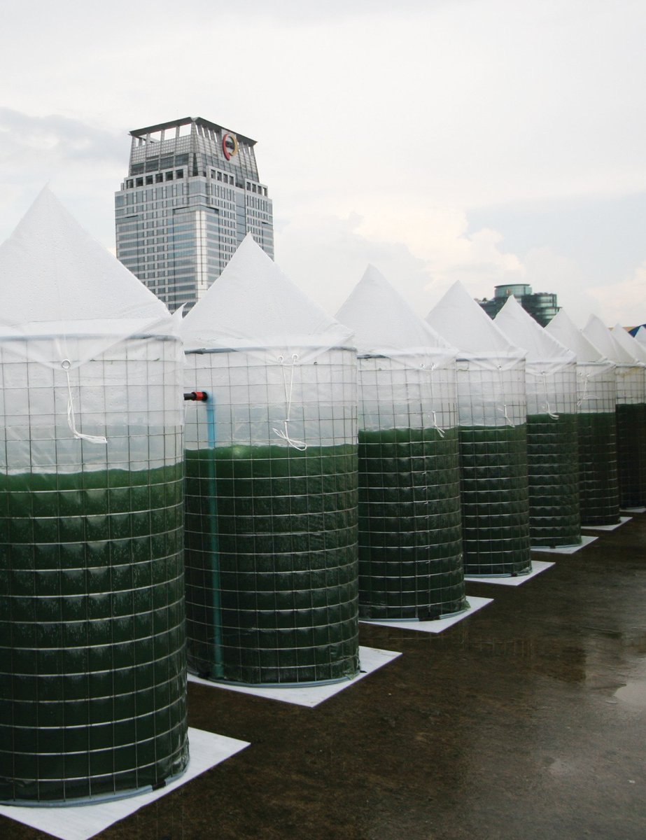 4 DAYS LEFT to apply to our U.S. #Aquaculture Workshop in Baltimore, MD. Only a few spots still available! bit.ly/2wNSnnD <a href="/AquacultureWork/">Work in Aquaculture</a> <a href="/aquaculture_na/">Aquaculture NA</a>  @XpertSea @GAA_Aquaculture <a href="/FoundationFAR/">Foundation for Food & Agriculture Research (FFAR)</a> <a href="/CGIAR/">CGIAR</a> <a href="/ocean_stewards/">Ocean Stewards</a> <a href="/Economist_WOI/">World Ocean Initiative</a> <a href="/OpenBlueCobia/">Open Blue</a> <a href="/WrldAquaculture/">World Aquaculture</a>