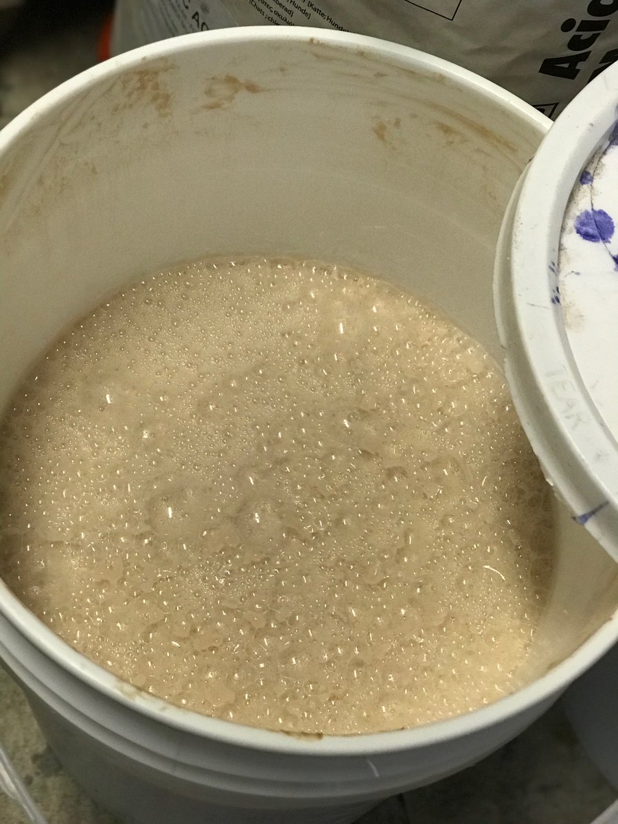 ScottoCellars's tweet photo. Happy Yeast! Start of Fermentation- update from our winemakers! #fermentation #2018harvest #winemaking #letsmakesomewine #scottocellars https://t.co/TTR9gQ10EP