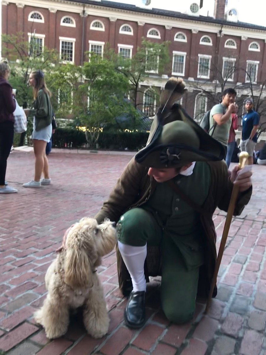 TheFreedomTrail's tweet image. Thanks for stopping by! #EddieMuppet #EddieTheCockapoo #PatrioticPups🐾