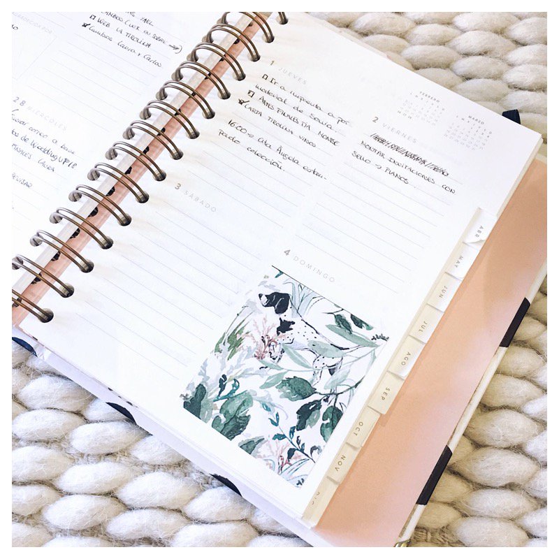 Sí, lo confesamos 😅, los patterns que  hacemos para nuestros novios nos gustan tanto que los usamos para decorar la agenda 💃🏻. Así vemos la semana más bonita y la cogemos con más ganas 💚, ¿no os parece? •

#endiviasana #pattern #diseñografico #acuarela #invitacionesdeboda