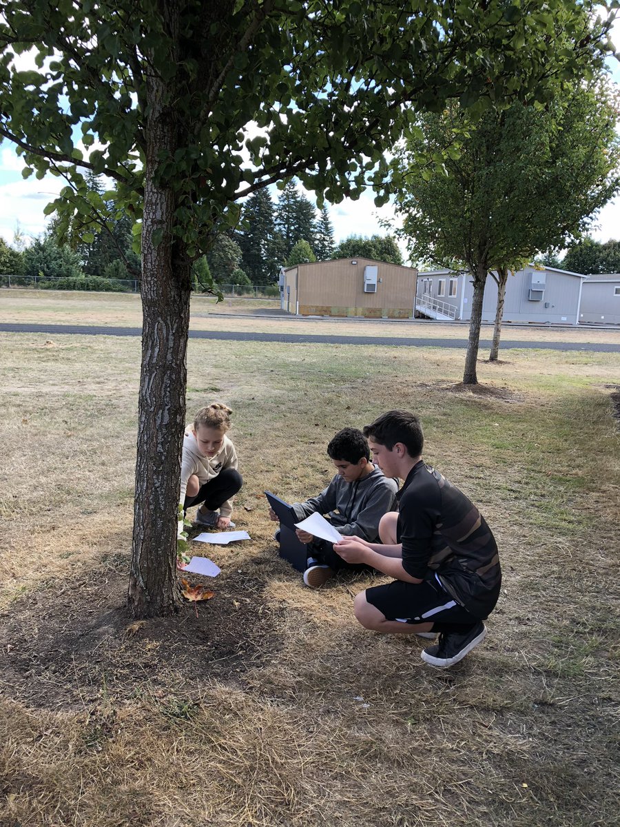 WHarvey_Teach's tweet photo. This is what mobile learning looks like at @Twality_MS! Mr. Bullard’s 7th grade social studies students demonstrating their understanding of content with a paperslide video to be viewed by their peers in @Flipgrid #collaboration #creativity @TTSDLearn https://t.co/vyOMeUoXev