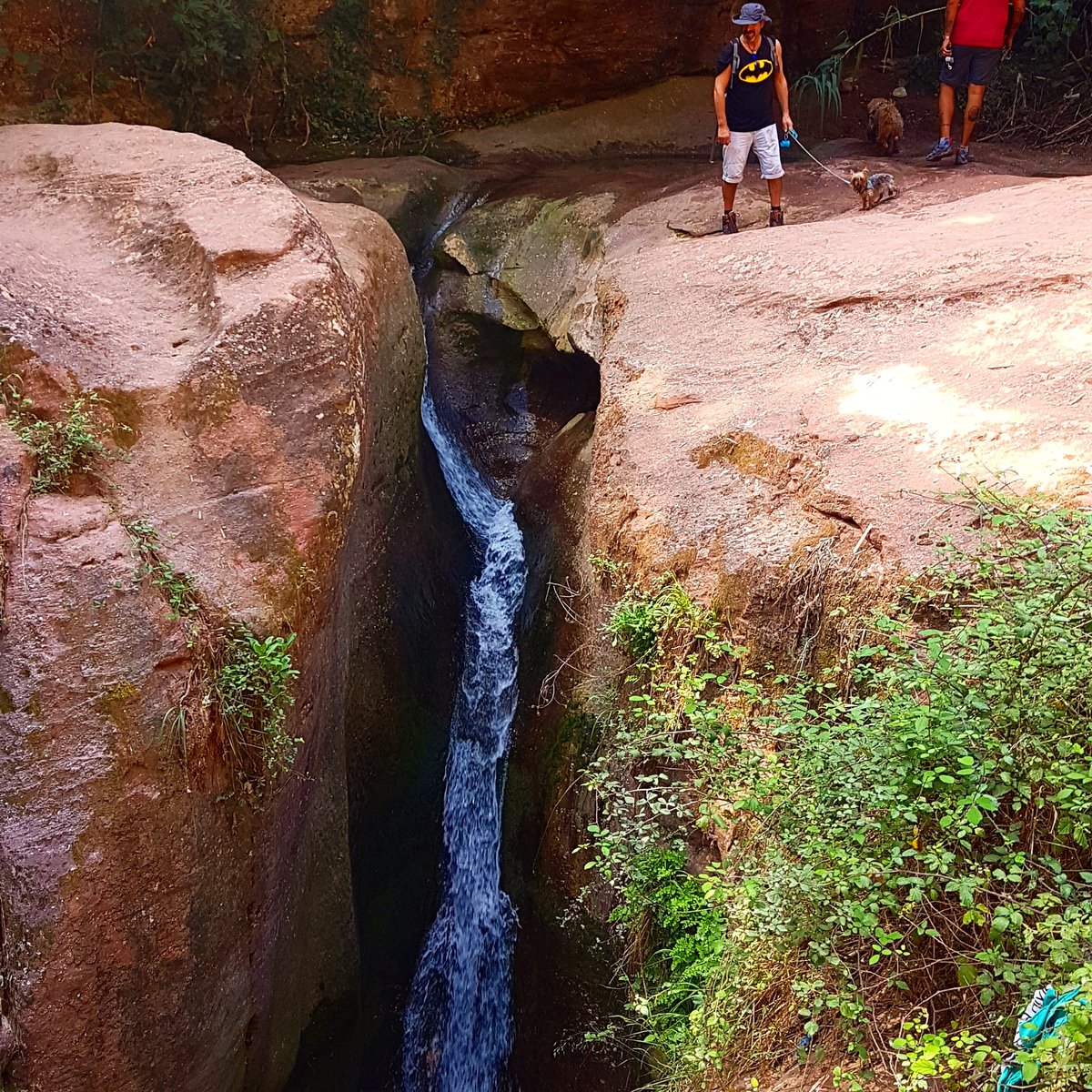 BcnAventuras's tweet photo. Gogr tu #molas 🌳🍁🍃🍂 https://t.co/xLbKC8Br9k