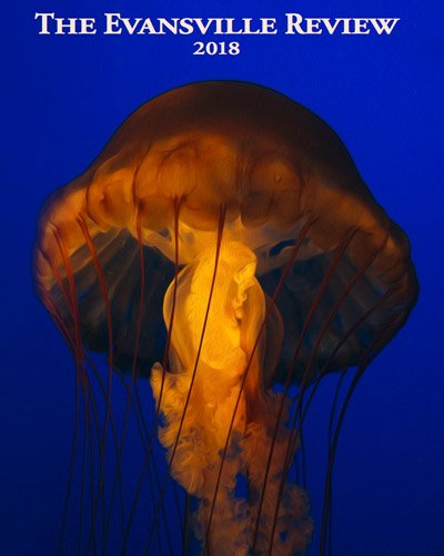 NewPages.com tweet media