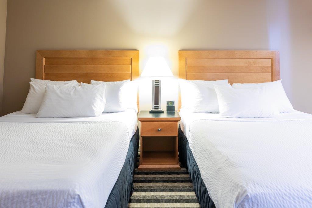 RoyalHotelEdm's tweet photo. Come and sleep on a cloud! We have rooms with a single queen size bed, king size bed and also the rooms with two queens for big companies! Call 7804846000 now to make a booking or visit our website https://t.co/qThAyrPcWw and get $10 iTunes Gift Card for BOOKING ONLINE*(2nght&amp;up) https://t.co/SmrN3lCZwU