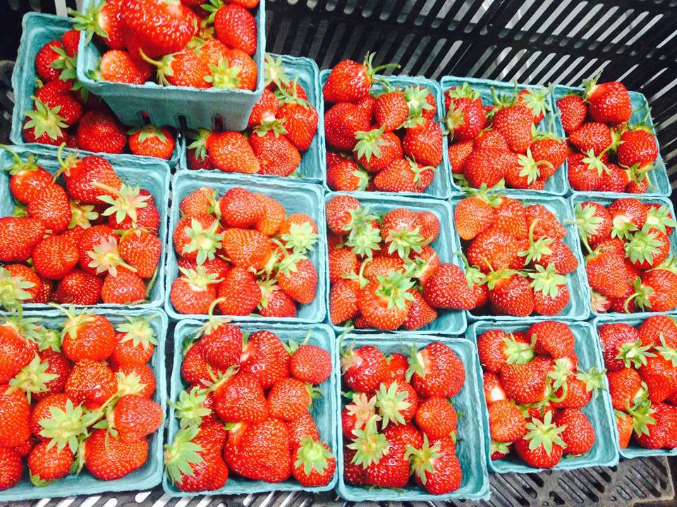 SchoolLunch's tweet photo. October is National #FarmtoSchool Month! Learn how @FarmtoSchool programs are connecting students with fresh, nutritious, #LocallySourced foods in #SchoolMeals https://t.co/VYJWghiYil https://t.co/zahv5mho97