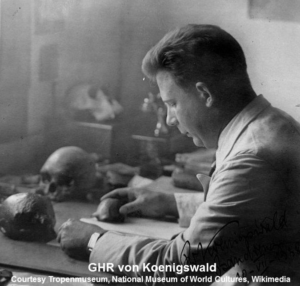 The latest post at aboutbone.com   Be Careful What You Ask For, Paleontology Style