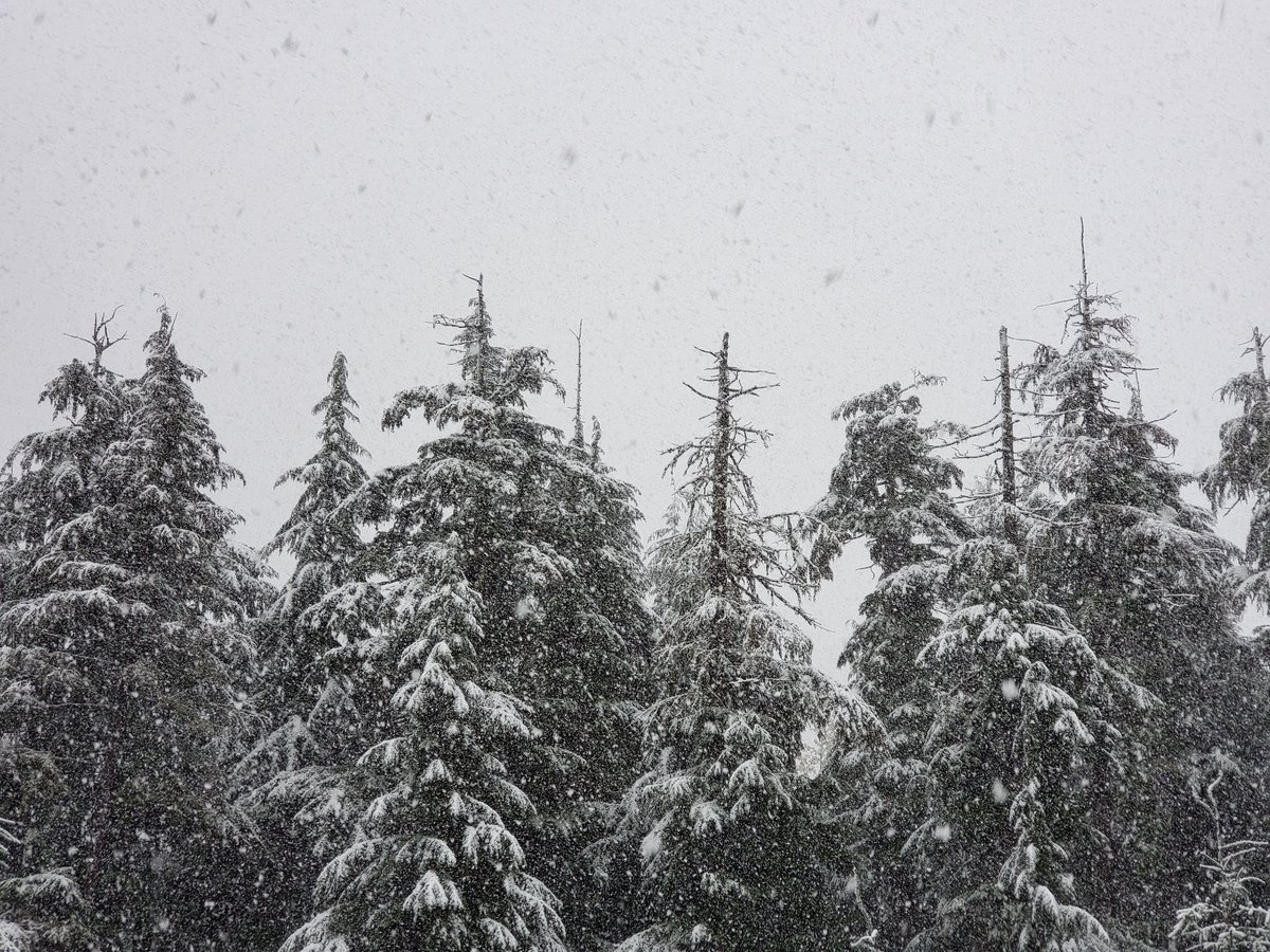 LD Vernon tweet media