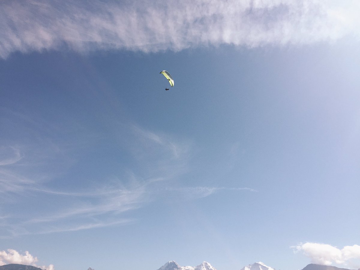 randahalaseh's tweet image. “Focus on the WHY and forget the voices around you” not sure what to do with the very high voices, I am still searching and praying for the help to come from above, but at least the WHY is there #lookingforsolution #request