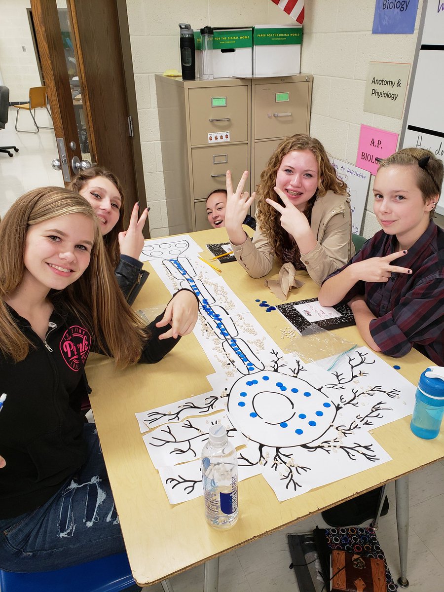 springersci's tweet image. Neurons and action potentials were today&apos;s topic in Physiology! We still have questions about the process and the signals. #gr82bgold #learningisaprocess