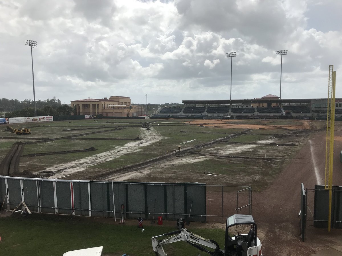 floridafirefrogs@gmail.com tweet media