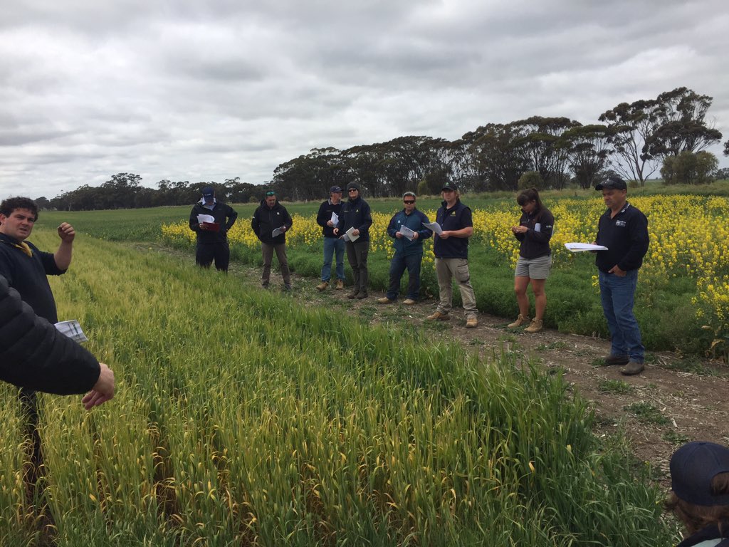 CRT Trial tour at Nhill <a href="/AndrewNewall5/">Andrew Newall</a> <a href="/BASF_Agro_Au/">BASF Agricultural Solutions Australia</a> <a href="/JamesConsi/">James Consi</a> <a href="/Syngenta/">Syngenta</a> <a href="/NufarmAustralia/">Nufarm Australia</a> <a href="/Bayer4CropsAU/">Bayer AU 🇦🇺 | Crop Science</a> <a href="/mart_montgomery/">Marty Montgomery</a> <a href="/Adama_AU/">ADAMA Australia</a>