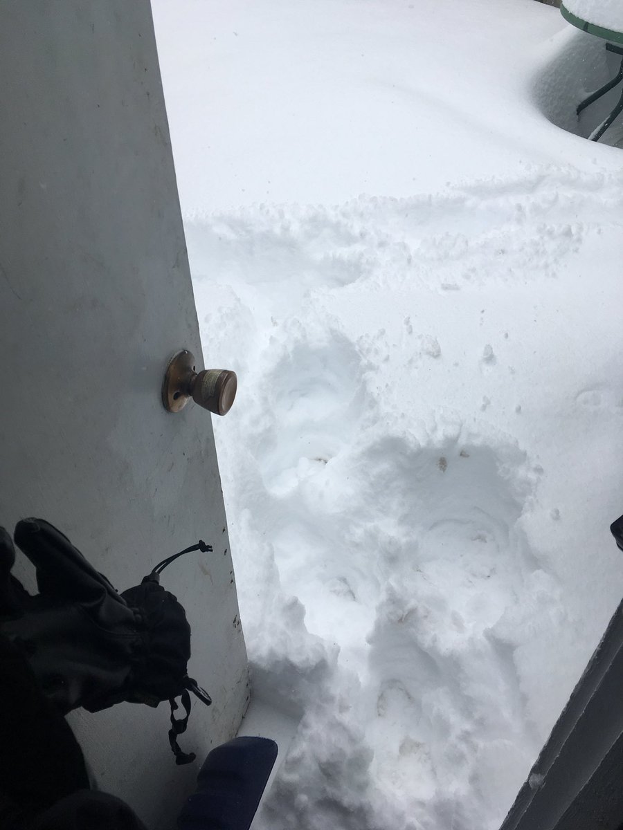 ChalifourLia's tweet photo. Calgary life lesson #3: no you are not smarter than everyone by waiting until the snow stops before shoveling... its not stopping.. 😨 #Oops #SoMuchFor10cm #CalgaryLifeLessons #abstorm #yyc #extremeweather #snowday #ItsPrettyThough https://t.co/xOXb3qJGQK
