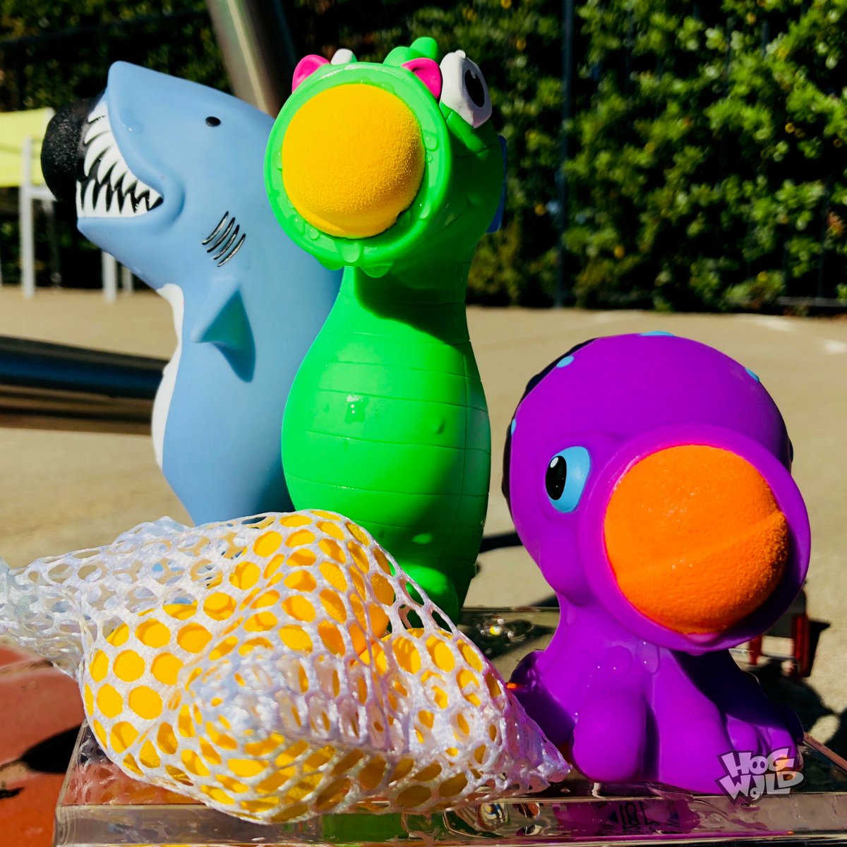 HogWildToysLLC's tweet photo. Drying off in the warm sunshine!
.
.
.
#squeezepopper #sealife #endofsummer #hogwildtoys #gonehogwild https://t.co/lSJZbDKRA8