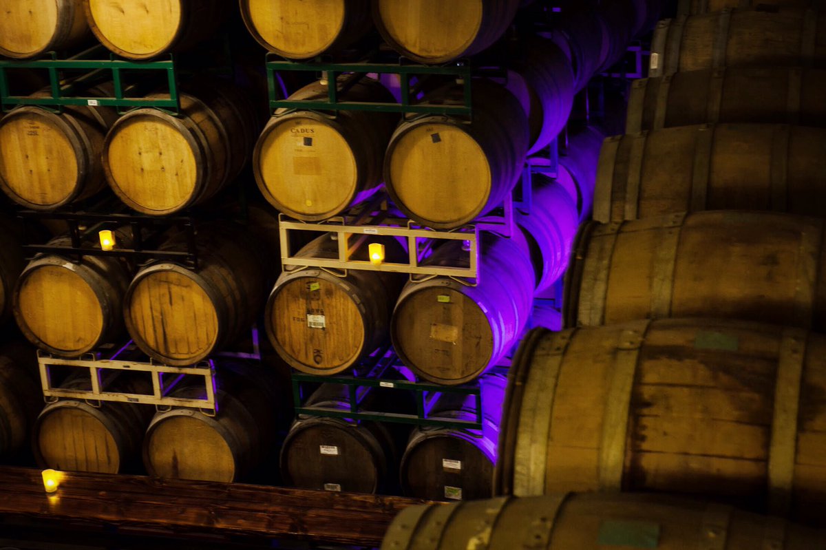 From the depths of our barrel-crypt, we expose the dark ambiance of our filled oak vessels, a special sour offering is on its way… stay tuned...