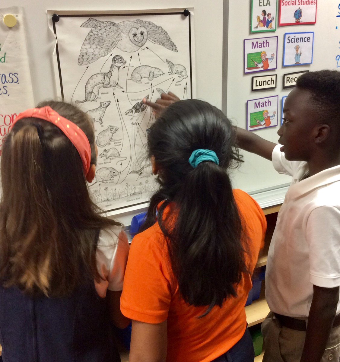 PVisser_NCCA's tweet photo. @NCCAElementary
Caught these inquisitive students checking out a new poster this morning! Loved hearing their discussion!
#sciencebrains #whatowlseat https://t.co/beTcNELqT5