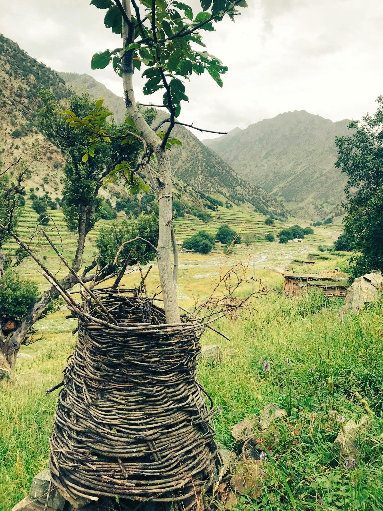 Hafiz_Qureshii's tweet photo. Somewhere in Botogah Valley Chilas. 
There is a alternate route for Gattidas  from Chilas city https://t.co/ZnVtc52PjH