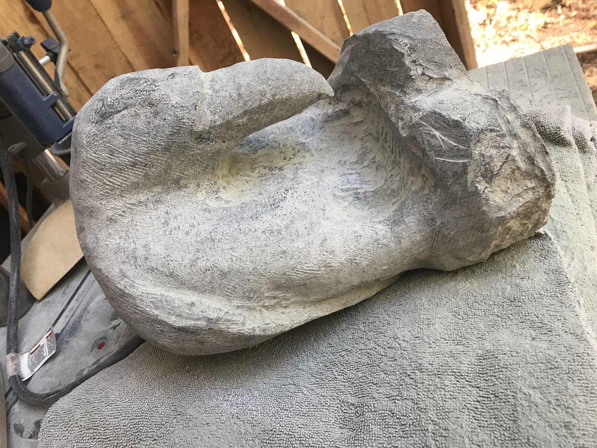 s_signed's tweet image. He’s not done yet and has quite a ways to go - thought I’d give you an up-date! I think his name shall be Edgar ( named after Edgar Allen Poe and his poem, The Raven.)
 poetryfoundation.org/poems/48860/th…