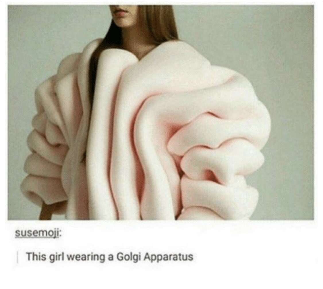 golgi2018's tweet photo. if you vote for me then you’ll get a free costume of me 😊 #style #gootAPbio #OrganelleVote2018 https://t.co/csHFPNAo9u