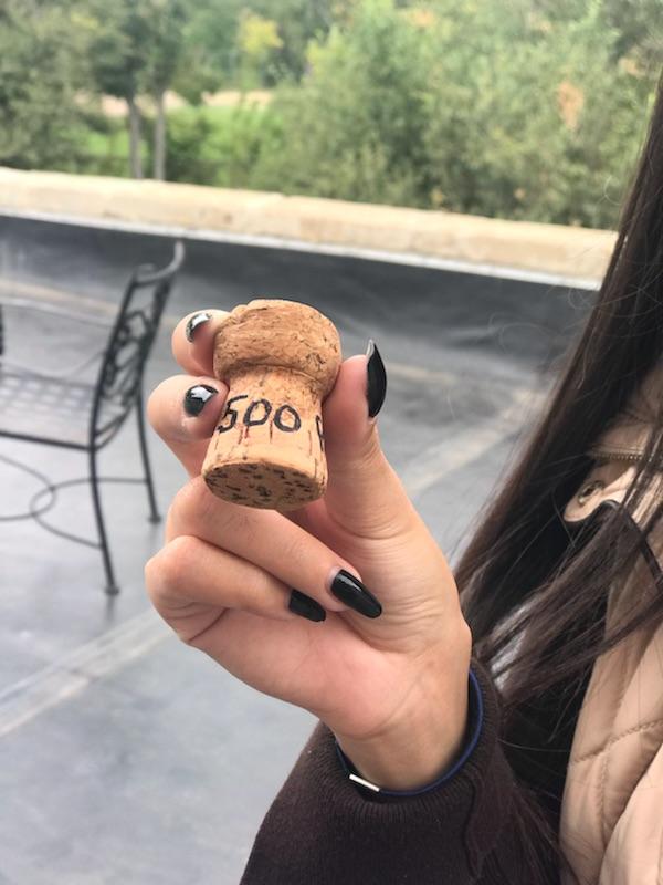 flytedeskpub's tweet image. Celebrating a milestone - we finally signed up over 500 flytedesk publishers! Here's to four years of community - thank you!! #poppingchampagne #shareforswag #publove