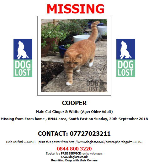 DogLostUK's tweet photo. #LOST #CAT COOPER Male
#Brighton #BN44
Sunday 30th September 2018
#LostCat #ScanMe
@VetsGetScanning @SAMPAuk_
https://t.co/GjDjkKW8BG https://t.co/Tbco2JCl5O