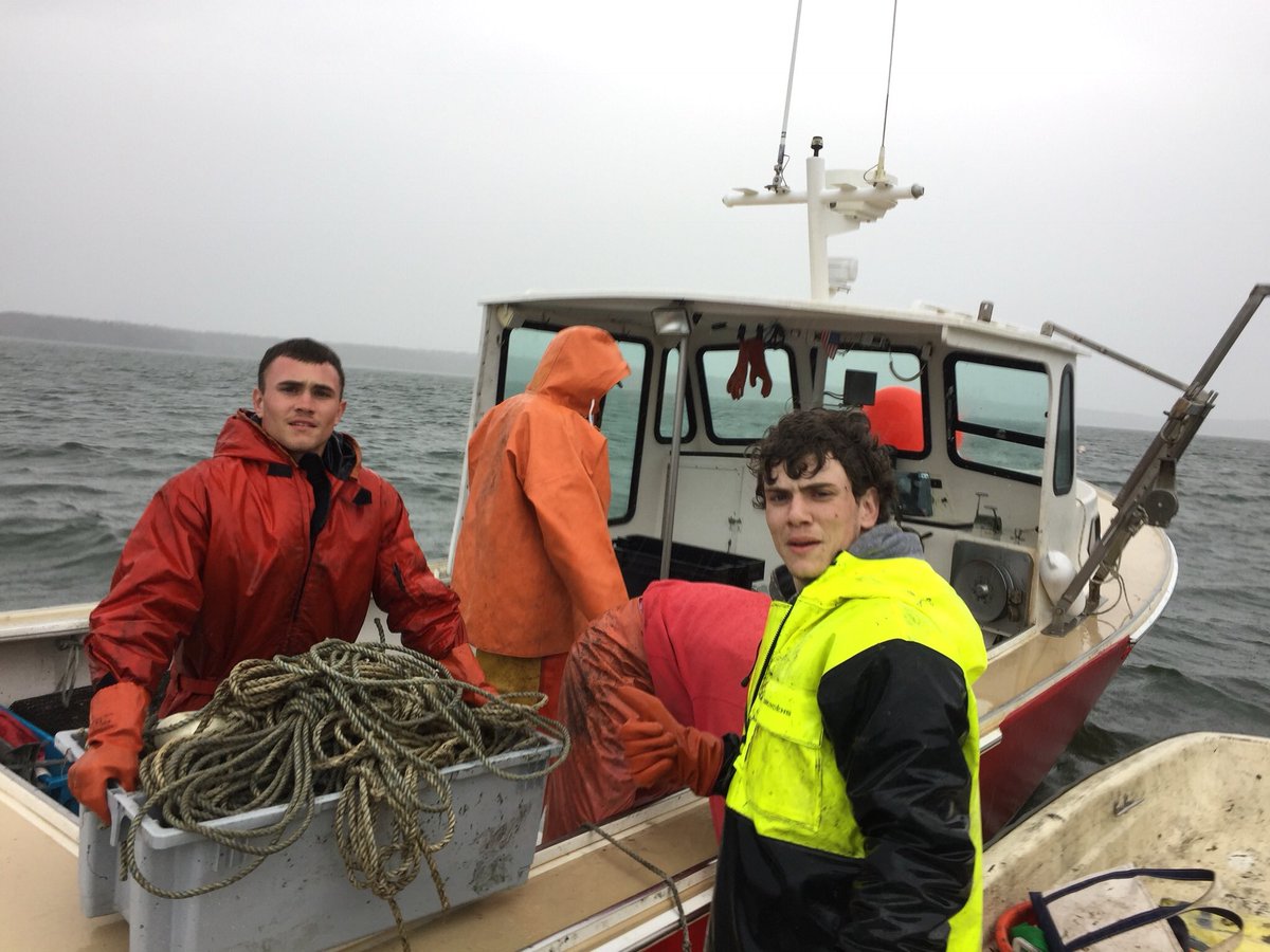 MerePointOyster's tweet photo. Rain or shine our farm crews pound the sea with pride. #localseafood #merepoint #merepointoyster #oysterwork #sustainableseafood #Cascobay https://t.co/XxFcSYsXlS