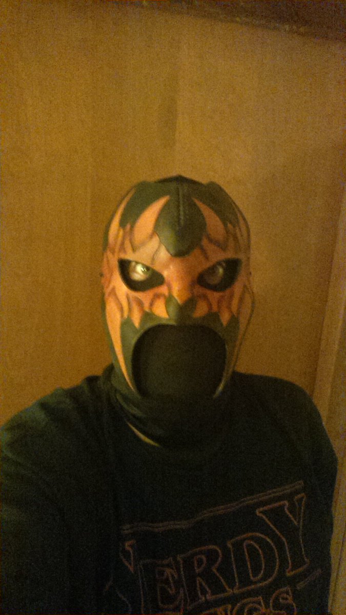 NerdyThings1's tweet image. My mask for Comic Con. #nycc #nerdythings