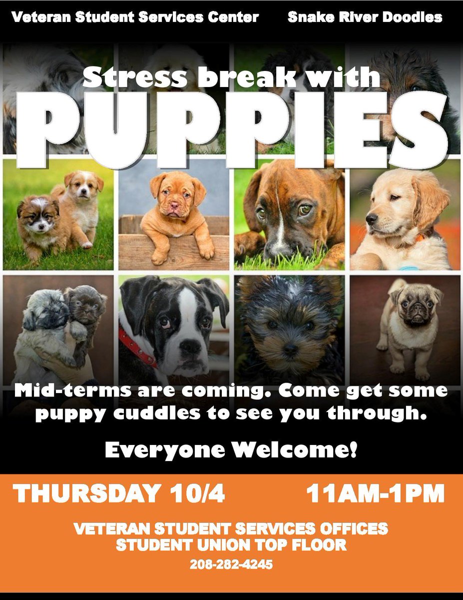 Vets_IdahoState's tweet photo. Join us on Thursday 10/4 for a puppy-cuddle stress break! Snake River Doodles will have Labradoodle and Doberman puppies in our lounge from 11am to 1pm. #puppylove https://t.co/aKmRXkukF8