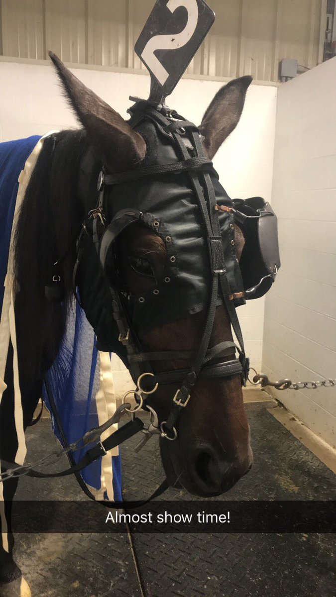 RuddickStables's tweet image. Calm. Cool. Collected. We’re up next @HollywoodDayton Race 12. Post 2. He’s On A Mission. #GoMissionGo cc: @That1BarryGuy