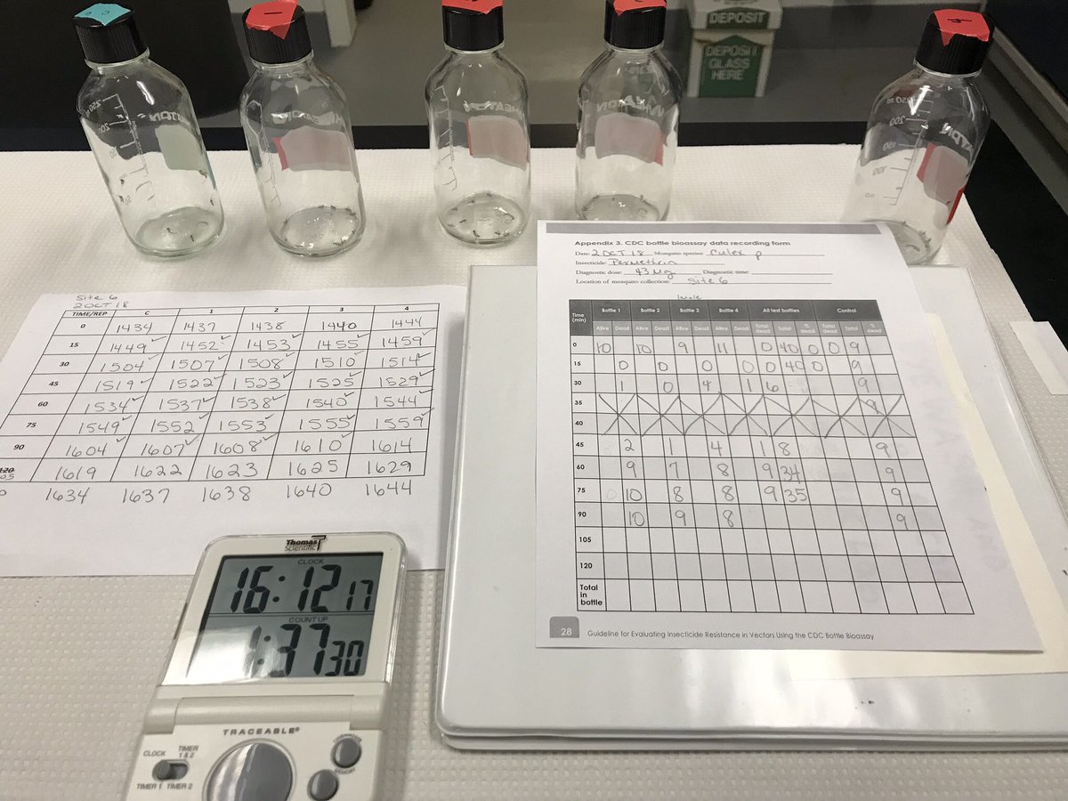 AlliKnowAreBugs's tweet photo. Conducted resistance assays on 5 sites today. That was half my day π€
#Mosquito #Mosquitoes #VectorControl #PublicHealth #WarOnMosquitoes #FightTheBite #WearRepellents #resistancetesting #pesticideresistance #Entomologist #Entomology #IDNinja #Culex #StankWater #MosquitoBites https://t.co/8WwHPArsgX