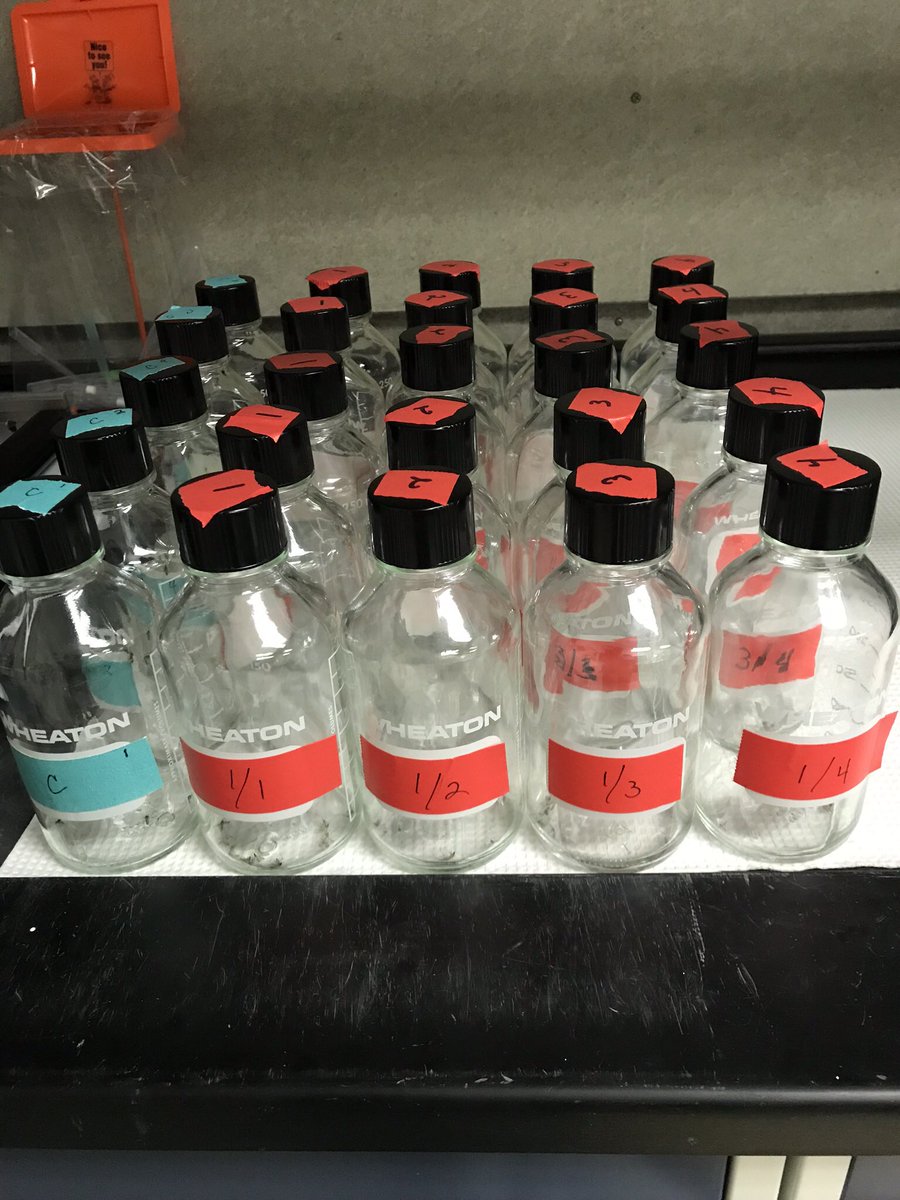 AlliKnowAreBugs's tweet photo. Conducted resistance assays on 5 sites today. That was half my day π€
#Mosquito #Mosquitoes #VectorControl #PublicHealth #WarOnMosquitoes #FightTheBite #WearRepellents #resistancetesting #pesticideresistance #Entomologist #Entomology #IDNinja #Culex #StankWater #MosquitoBites https://t.co/8WwHPArsgX