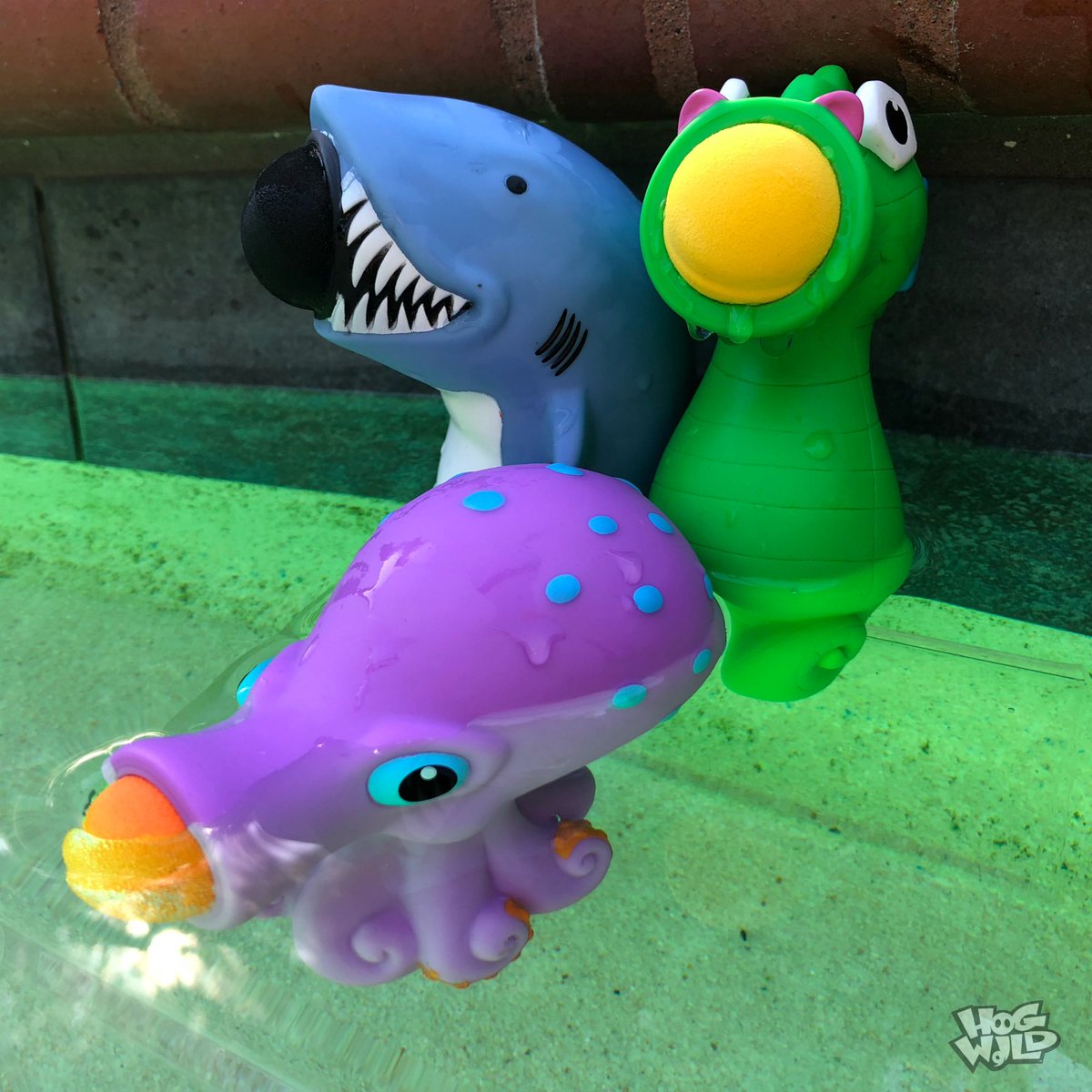 HogWildToysLLC's tweet photo. The friends are playing in the water, trying to catch the last warm weather of the season!
.
.
#sealife #squeezepoppers #hogwildtoys #gonehogwild #endofsummer https://t.co/JA8AQ58GWG