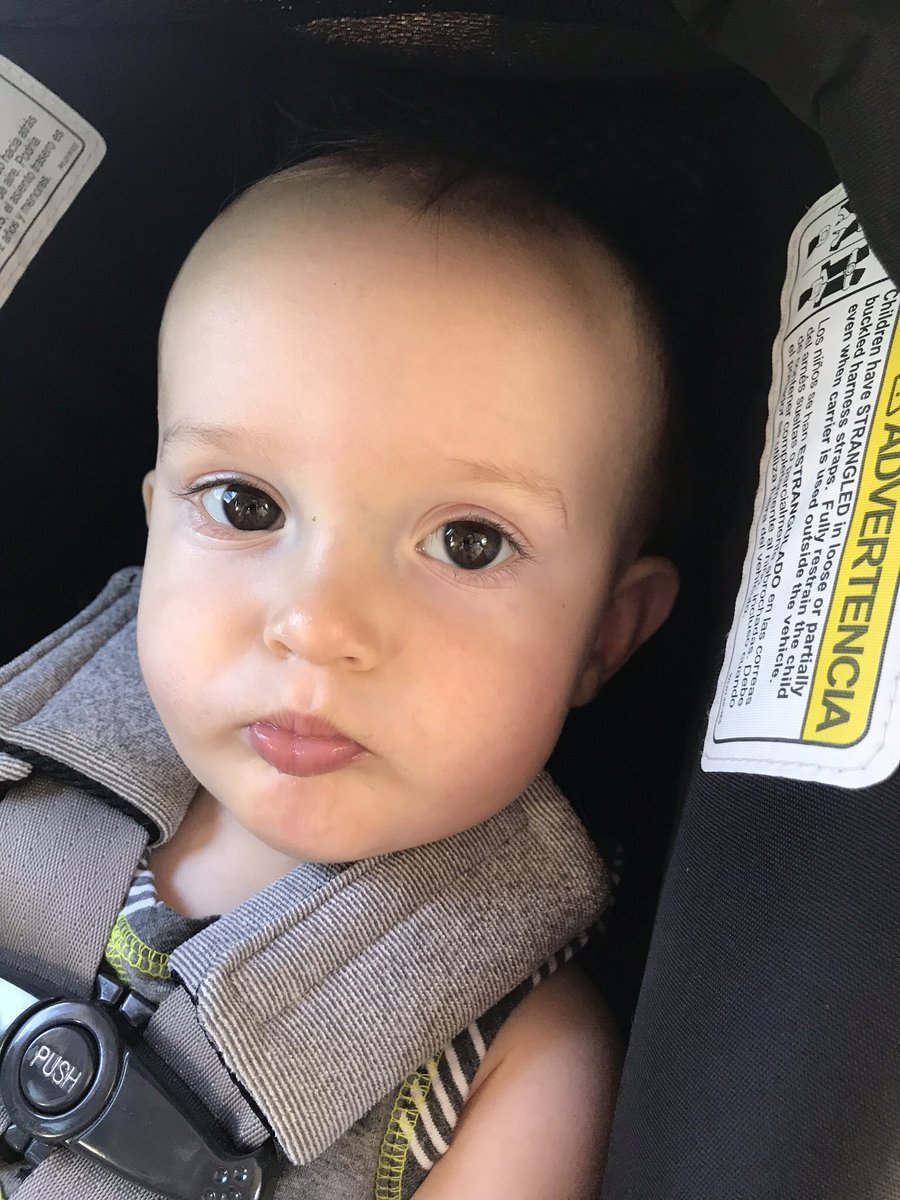 kcjensen_93's tweet photo. How is he almost one.... https://t.co/OgPihEtbA0